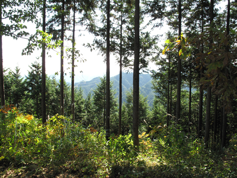 20171026hike (59)